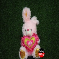 cute teddy bear for valentine day love